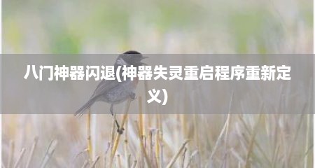 八门神器闪退(神器失灵重启程序重新定义)