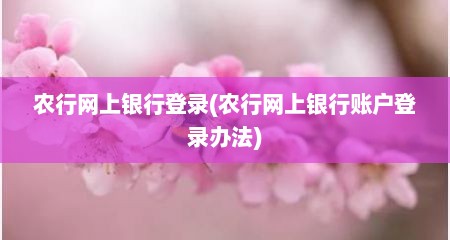 农行网上银行登录(农行网上银行账户登录办法)