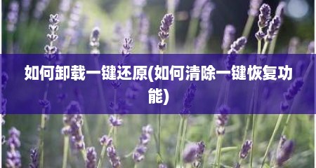 如何卸载一键还原(如何清除一键恢复功能)
