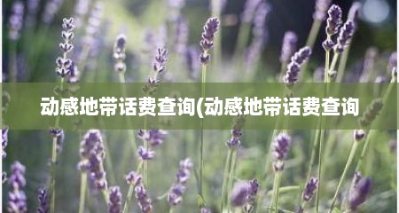 动感地带话费查询(动感地带话费查询