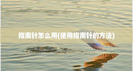指南针怎么用(使用指南针的方法)