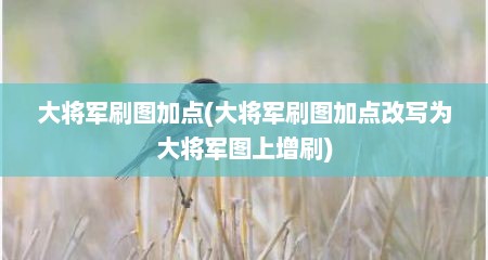 大将军刷图加点(大将军刷图加点改写为大将军图上增刷)