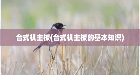台式机主板(台式机主板的基本知识)