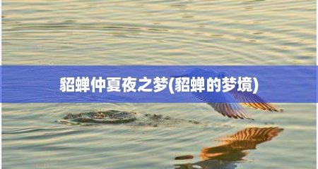 貂蝉仲夏夜之梦(貂蝉的梦境)