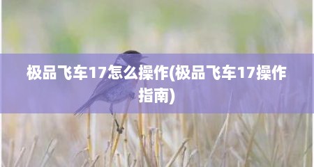 极品飞车17怎么操作(极品飞车17操作指南)