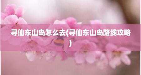 寻仙东山岛怎么去(寻仙东山岛路线攻略)