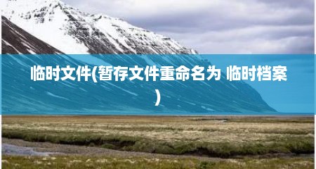 临时文件(暂存文件重命名为 临时档案)