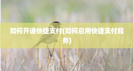 如何开通快捷支付(如何启用快捷支付服务)