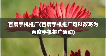 百度手机推广(百度手机推广可以改写为百度手机推广活动)