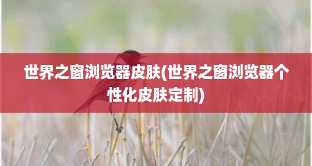 世界之窗浏览器皮肤(世界之窗浏览器个性化皮肤定制)