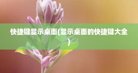 快捷键显示桌面(显示桌面的快捷键大全)