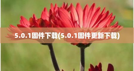 5.0.1固件下载(5.0.1固件更新下载)