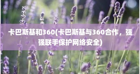 卡巴斯基和360(卡巴斯基与360合作，强强联手保护网络安全)