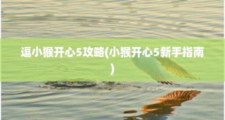逗小猴开心5攻略(小猴开心5新手指南)