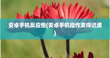 安卓手机反应慢(安卓手机操作变得迟缓)