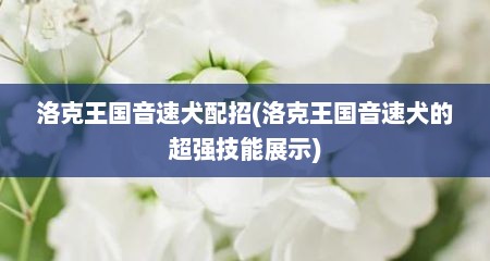 洛克王国音速犬配招(洛克王国音速犬的超强技能展示)