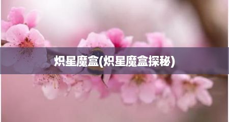 炽星魔盒(炽星魔盒探秘)