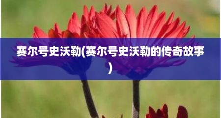 赛尔号史沃勒(赛尔号史沃勒的传奇故事)