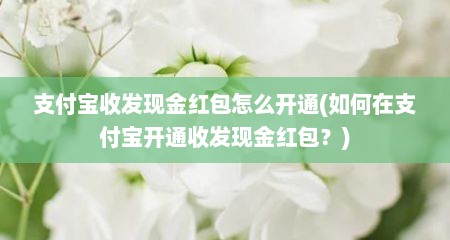 支付宝收发现金红包怎么开通(如何在支付宝开通收发现金红包？)