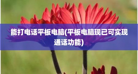 能打电话平板电脑(平板电脑现已可实现通话功能)