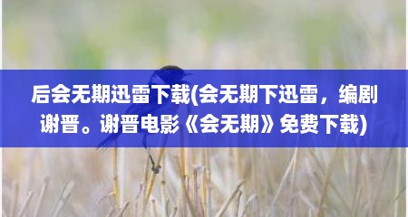 后会无期迅雷下载(会无期下迅雷，编剧谢晋。谢晋电影《会无期》免费下载)