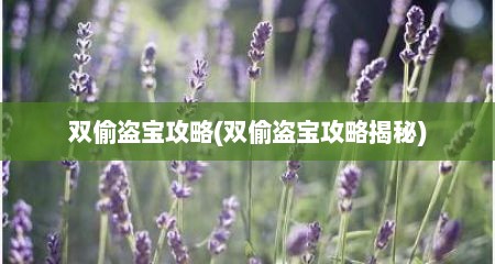 双偷盗宝攻略(双偷盗宝攻略揭秘)