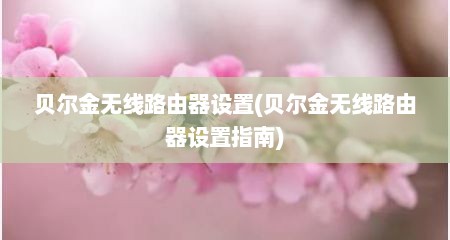 贝尔金无线路由器设置(贝尔金无线路由器设置指南)