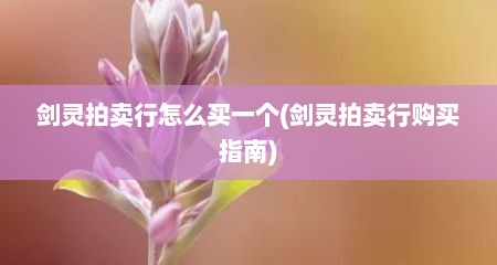 剑灵拍卖行怎么买一个(剑灵拍卖行购买指南)
