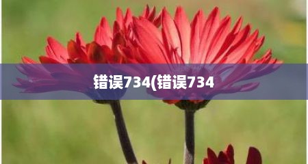 错误734(错误734