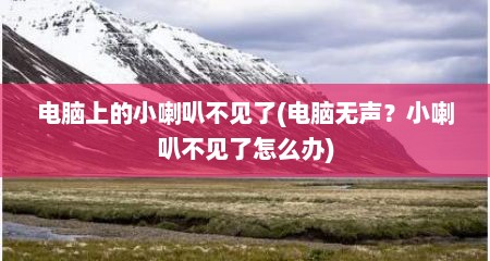 电脑上的小喇叭不见了(电脑无声？小喇叭不见了怎么办)
