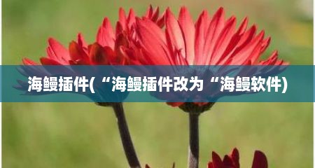 海鳗插件(“海鳗插件改为“海鳗软件)