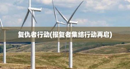 复仇者行动(报复者集结行动再启)
