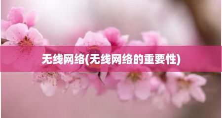 无线网络(无线网络的重要性)