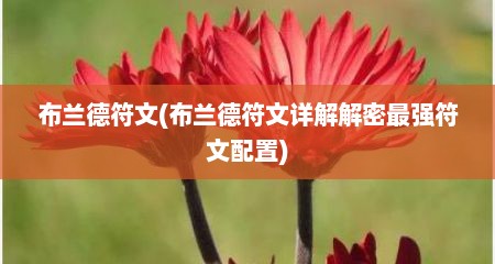 布兰德符文(布兰德符文详解解密最强符文配置)
