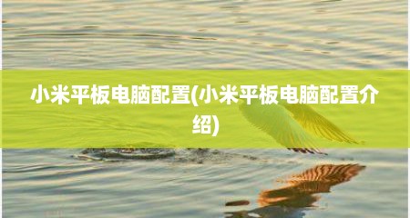 小米平板电脑配置(小米平板电脑配置介绍)