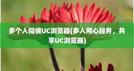 多个人伺候UC浏览器(多人用心服务，共享UC浏览器)