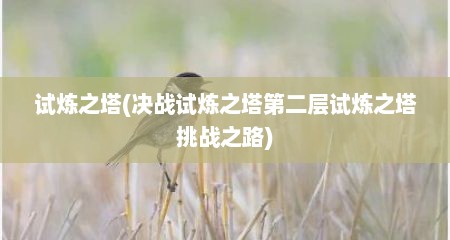 试炼之塔(决战试炼之塔第二层试炼之塔挑战之路)