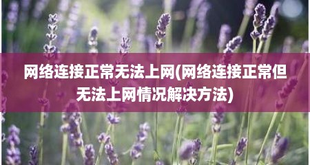 网络连接正常无法上网(网络连接正常但无法上网情况解决方法)