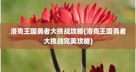 洛克王国勇者大挑战攻略(洛克王国勇者大挑战完美攻略)