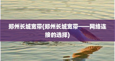 郑州长城宽带(郑州长城宽带——网络连接的选择)