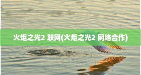 火炬之光2 联网(火炬之光2 网络合作)
