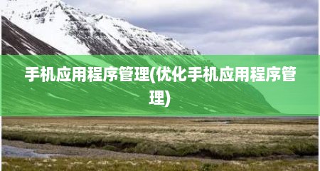 手机应用程序管理(优化手机应用程序管理)