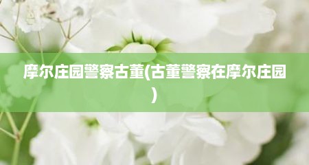 摩尔庄园警察古董(古董警察在摩尔庄园)