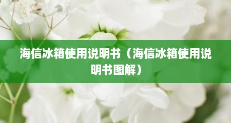 海信冰箱使用说明书（海信冰箱使用说明书图解）