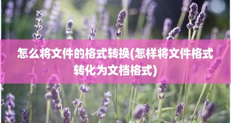 怎么将文件的格式转换(怎样将文件格式转化为文档格式)