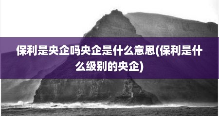 保利是央企吗央企是什么意思(保利是什么级别的央企)