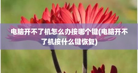 电脑开不了机怎么办按哪个键(电脑开不了机按什么键恢复)