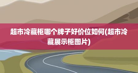 超市冷藏柜哪个牌子好价位如何(超市冷藏展示柜图片)