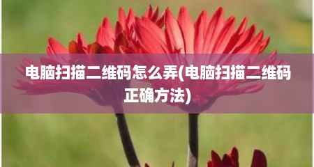 电脑扫描二维码怎么弄(电脑扫描二维码正确方法)