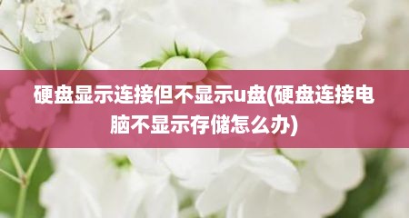 硬盘显示连接但不显示u盘(硬盘连接电脑不显示存储怎么办)